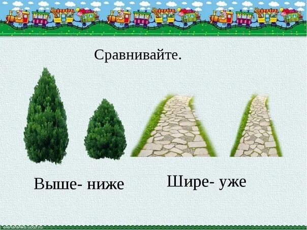 Лучше толще или длиннее. Сравнение высокий низкий. Широкий узкий для дошкольников. Широкая и узкая дорожка. Толстый тонкий высокий низкий.