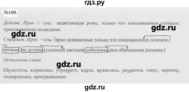 Русский язык упражнение 100. Русский язык 7 класс упражнение 100. Русский язык 7 класс ладыженская упражнение 100. Упражнение 100 русский язык упражнение 100.