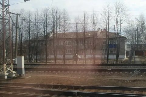 Авито балезино