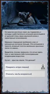 Квест ошейник