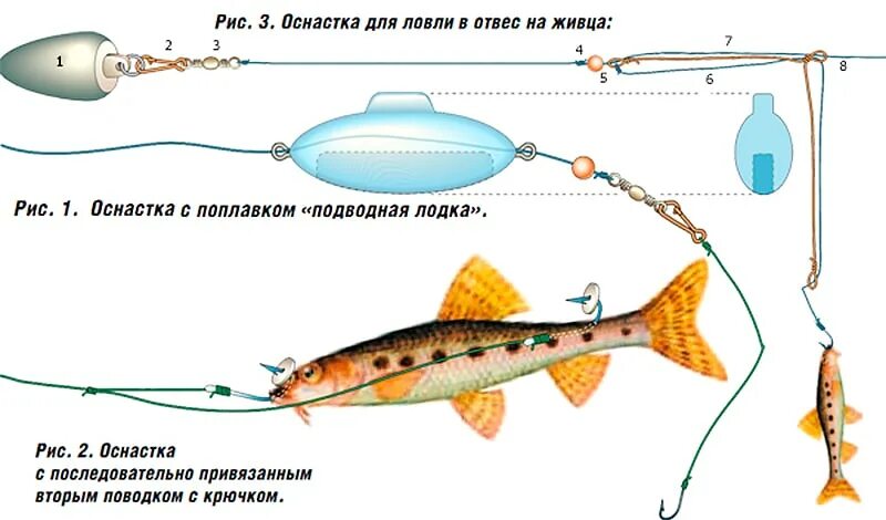 Снасть для ловли судака. Снасть на судака с берега на живца. Снасть для ловли судака на живца. Поплавочная снасть на судака на живца. Монтаж донной снасти для ловли судака.