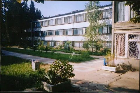 Зеленая горка сочи
