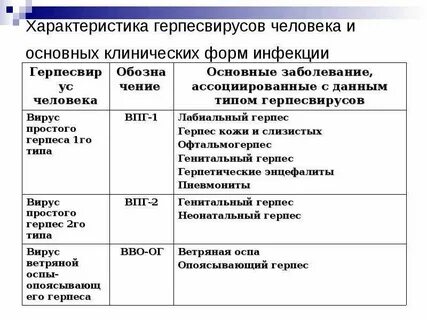 Характеристика герпесвирусов