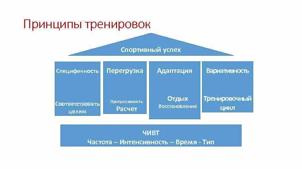 Спортивный принцип. Принципы тренировки. Принципы правильной тренировки. Принципы спортивной подготовки. Основные принципы спортивной тренировки.