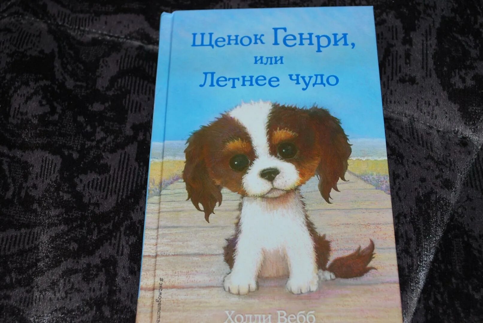 Книга щенок. Холли вебб щенок генри или. холли вебб щенок генри или летнее чудо. щенок генри или летнее чудо холли вебб книга. холли вебб щенок генри.