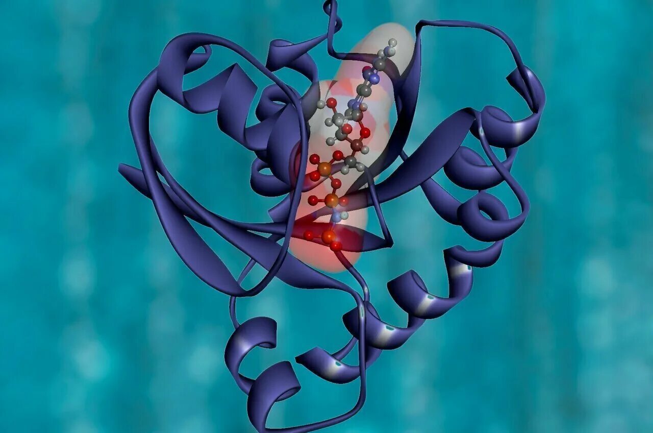 Genes development