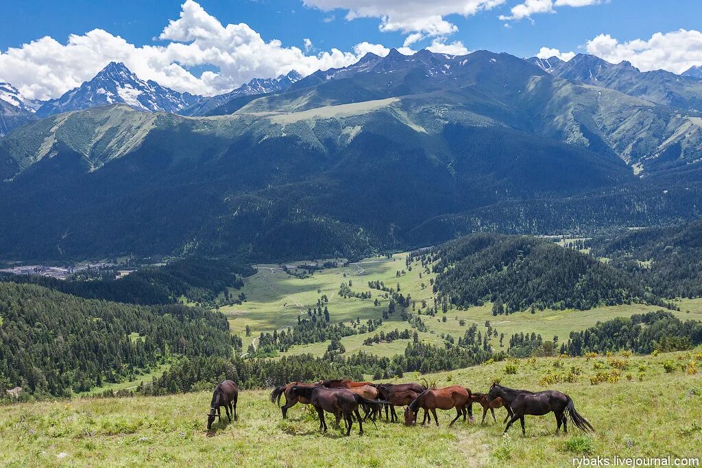 Кчр предгорный. Ахмед кая гора. Азиатский поселок кчр. Кчр предгорный. Предгорное (карачаево-черкесия).