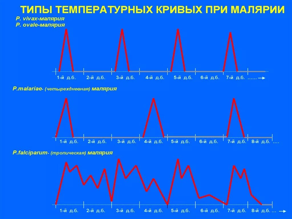 Тип лихорадки при малярии. Лихорадка при малярии. Малярия график температуры. Тип температурной Кривой при малярии.