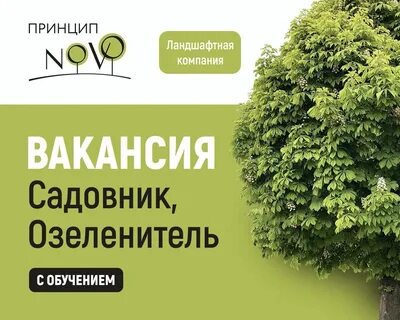 Работа в ново 2 3
