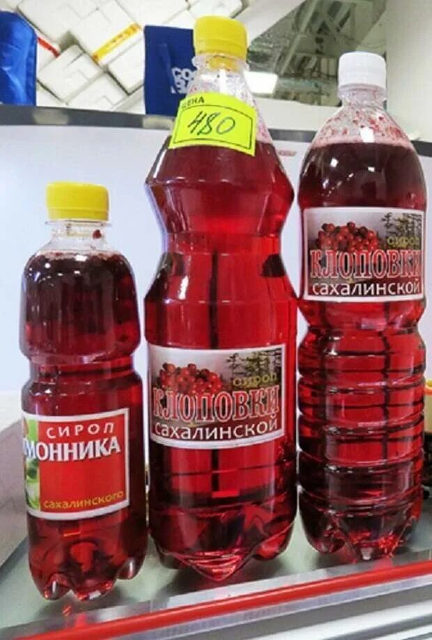 Клоповка настойка. Клоповка сахалинская напиток. сироп клоповки. сироп из клоповки сахалинской. клоповка лимонад.