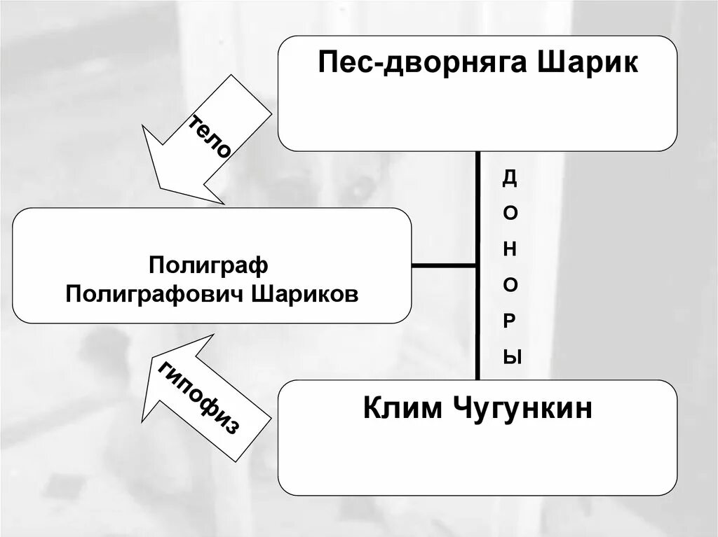 Взгляды на жизнь преображенский шариков. Схема произведения Собачье сердце. Система образов Собачье сердце. Схема персонажей Собачье сердце. Кластер Собачье сердце.