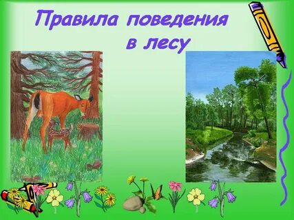 Выбери 2 примера которые иллюстрируют