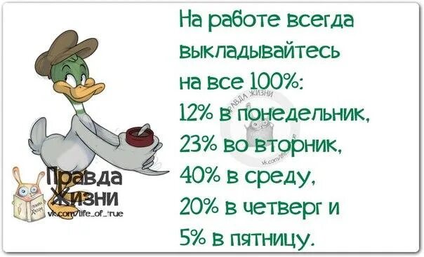 Смешные фразы про четверг. Анекдоты про четверг смешные в картинках. Цитаты про четверг смешные. Смешные статусы про четверг. Сколько дней до пятницы