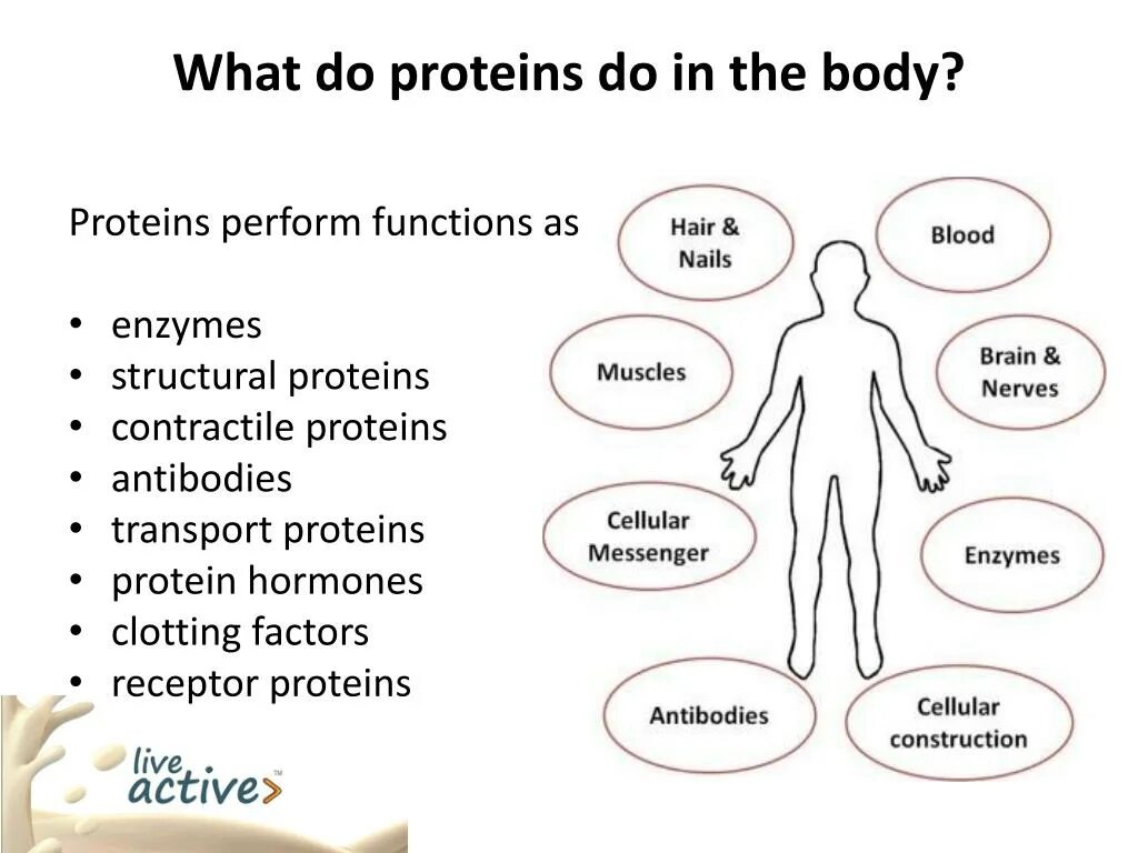 Bodily functions