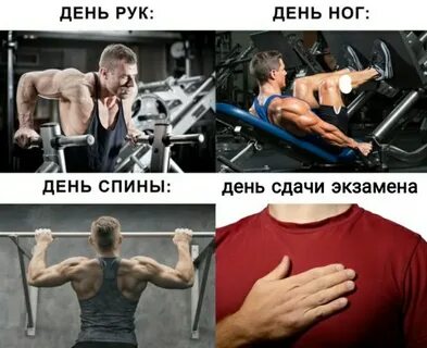 После дня рук