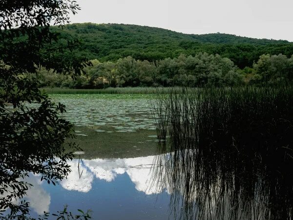 Озеро бам фото Озеро Кронштадтское "БАМ"