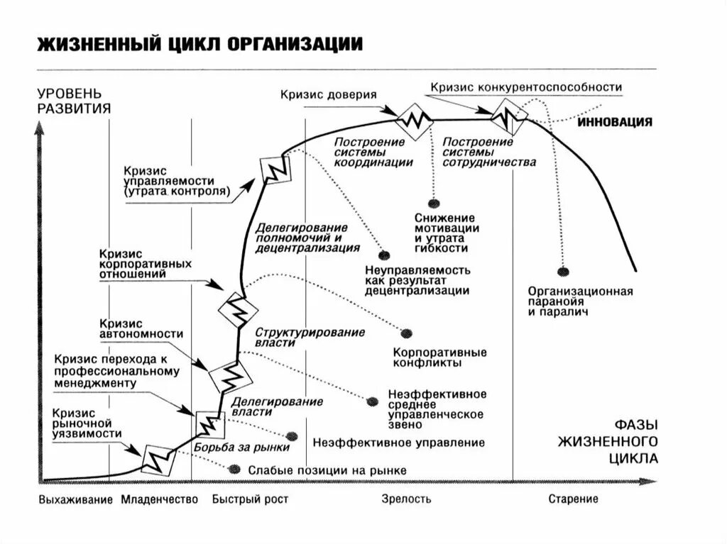 Жизненный цикл проблемы. Стадии жизненного цикла организации схема. Теория жизненного цикла Адизеса. Этапы жизненного цикла организации таблица. Жизненный цикл организации схема.