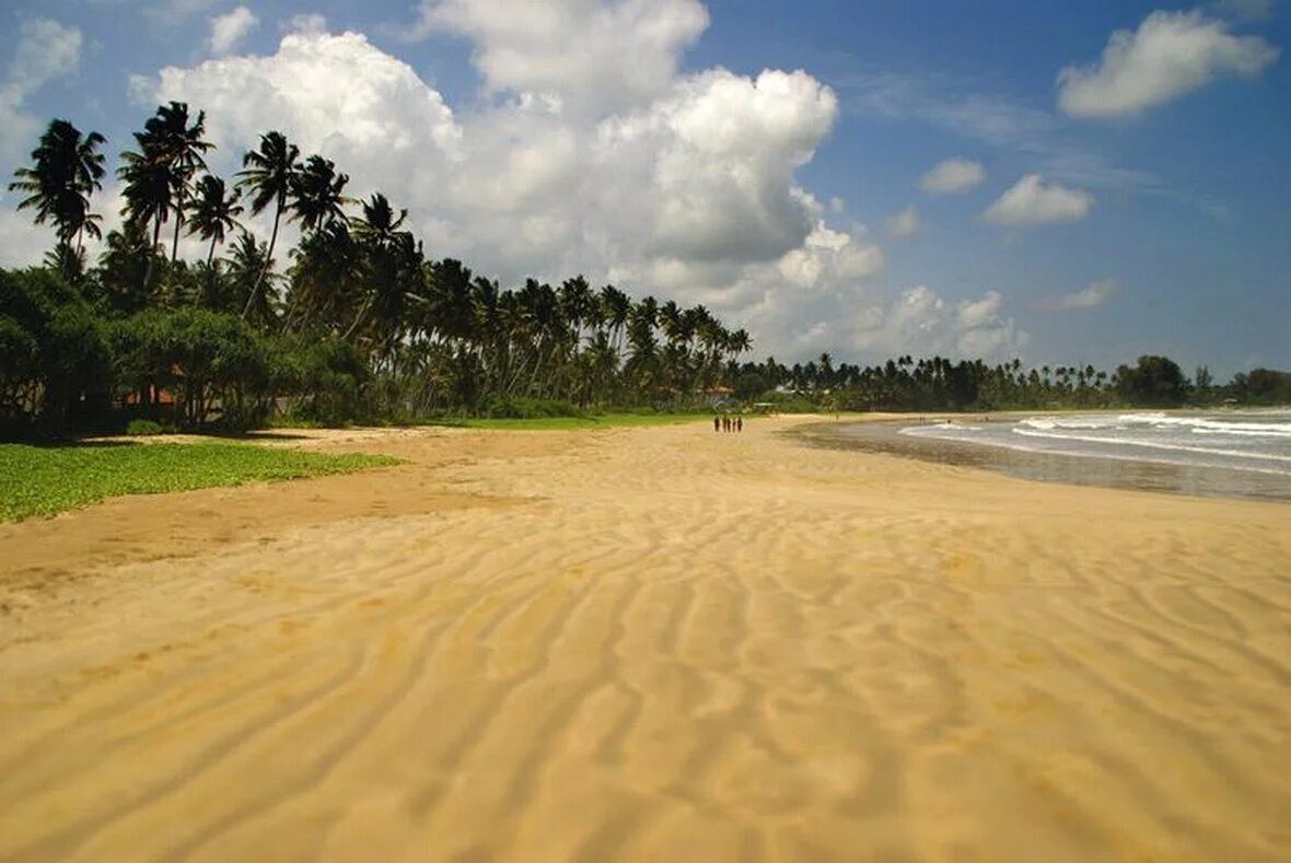 Велигама Шри Ланка. Пляж Велигама Шри. Шри Ланка пляжи Marriott Weligama. Остров Шри Ланка Велигама. Шри ланка инструкция