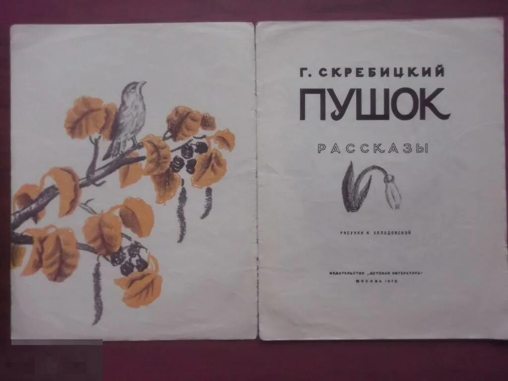 Пушок читать. Скребицкий пушок. г скребицкий пушок. произведение скребицкого пушок.
