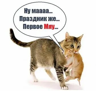 Ах какой ты сладенький просто мяу