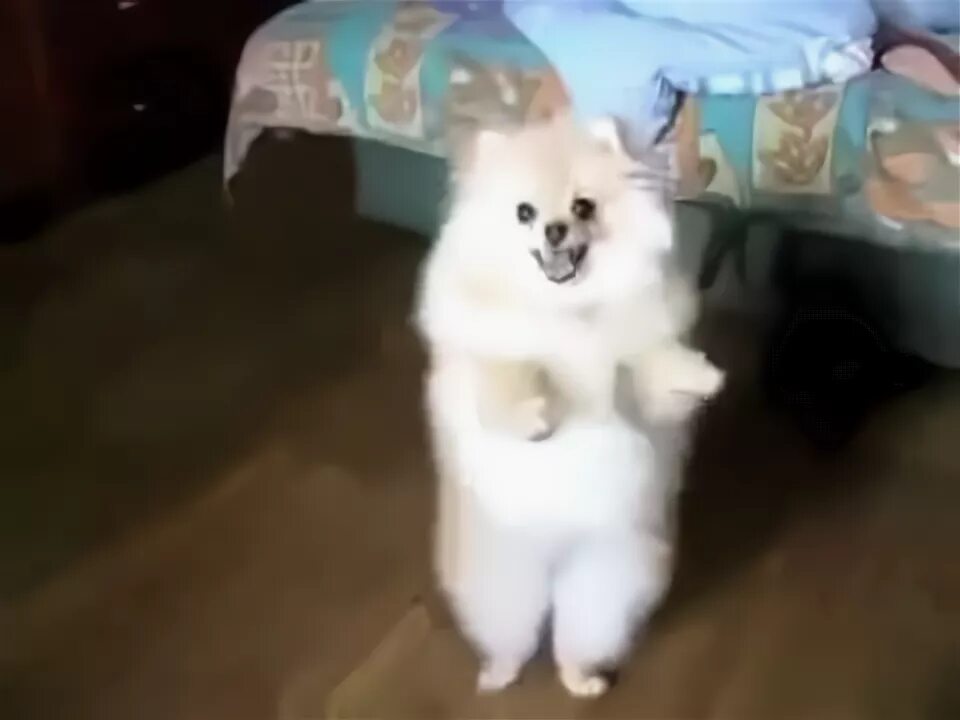 Top 10 Vines Of Today September 21 - YouTube