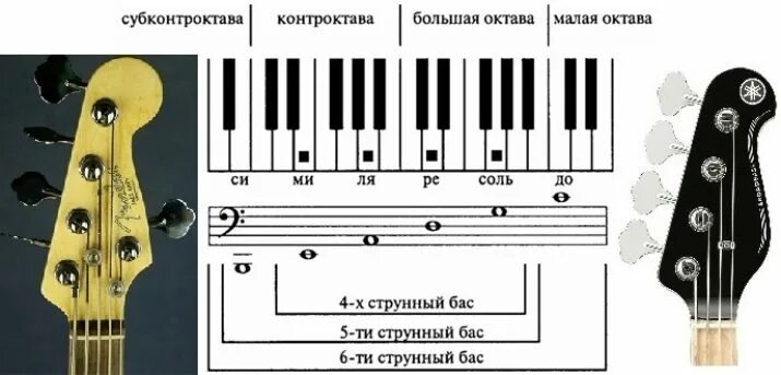 Строй бас гитары 5 струн. Строй 4 струнного баса. Строй бас гитары 4 струны. Стандартный Строй 5 струнного баса.