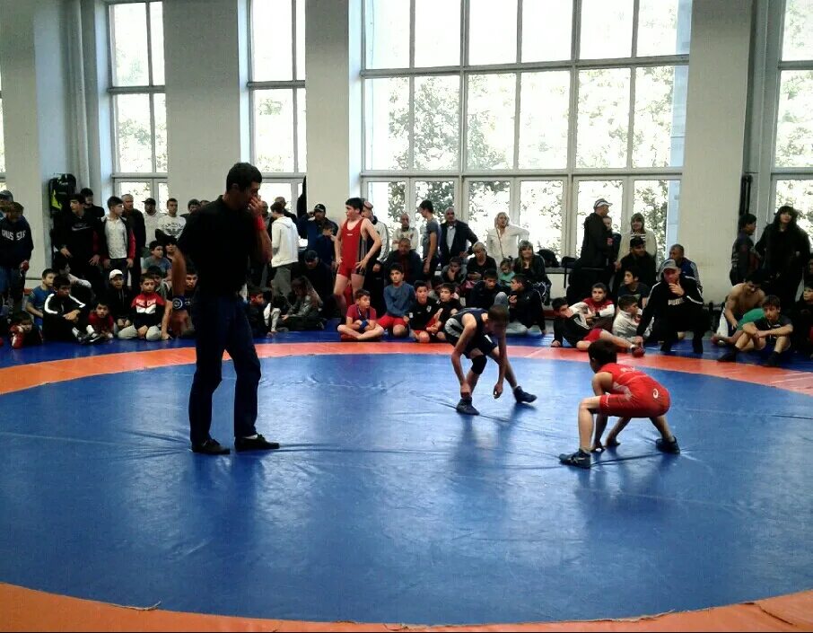 борьба юниоры. олимп борьба владикавказ. вольная владикавказ. олимп борьба владикавказ. спортзал вольная борьба.