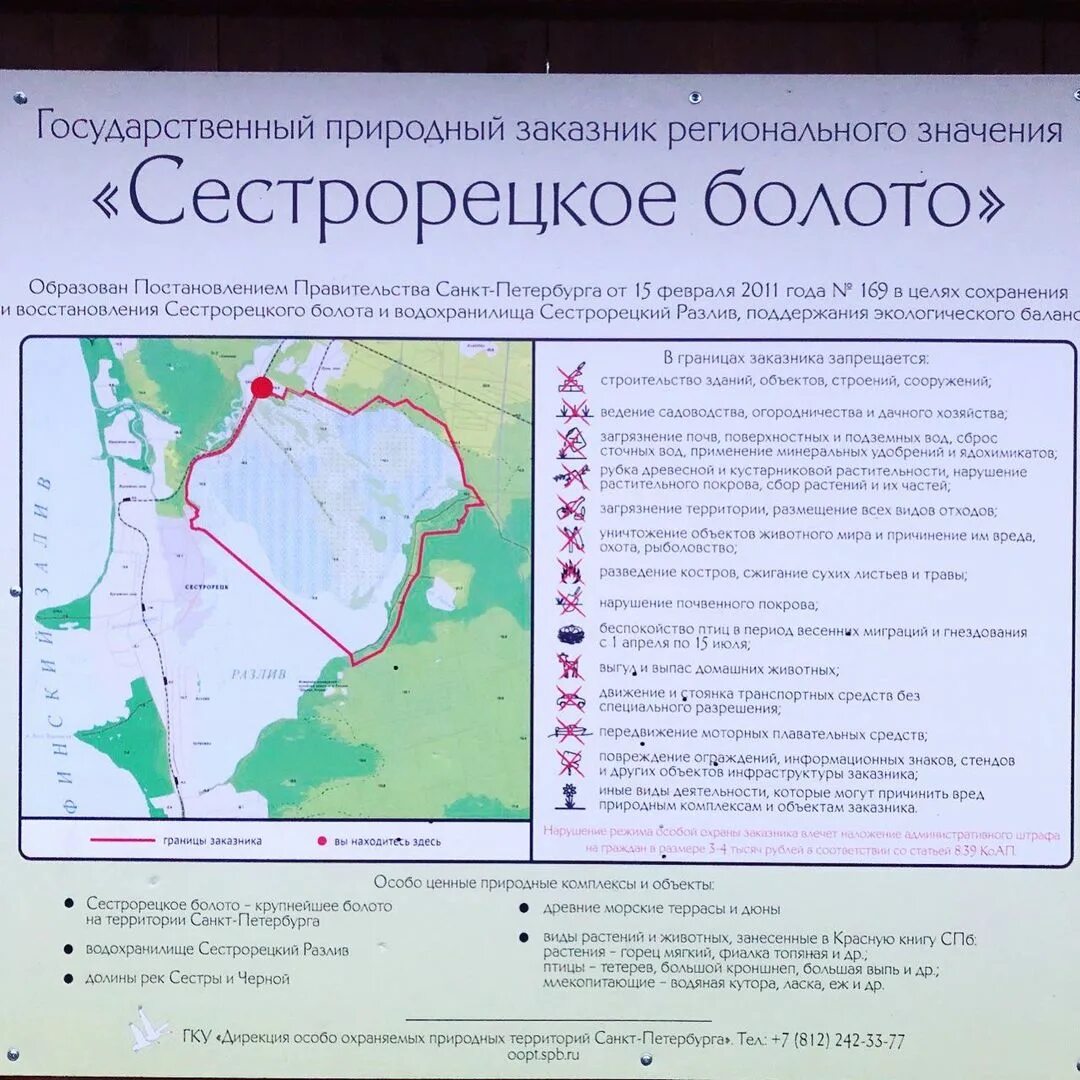Спб экотропа сестрорецкое болото. Природный заказник санкт петербург. Парк юнтолово спб. Государственный природный заказник «юнтоловский». Государственный природный заказник сестрорецкое болото.