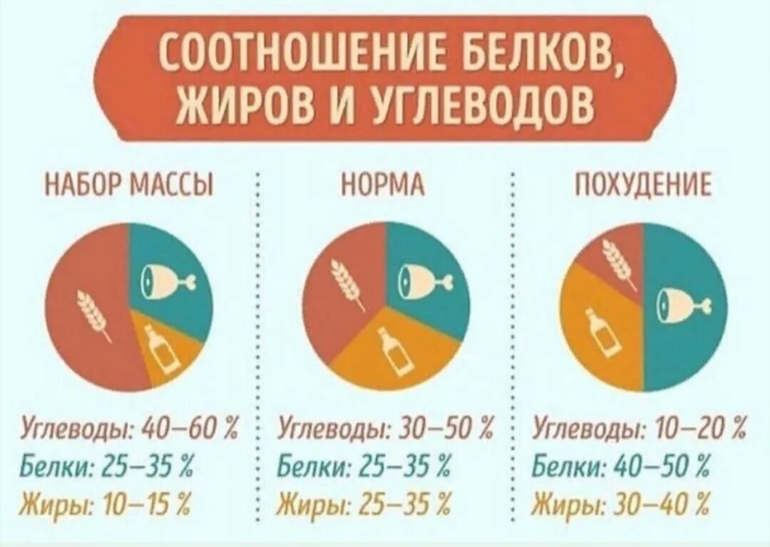 Соотношение кбжу на похудение