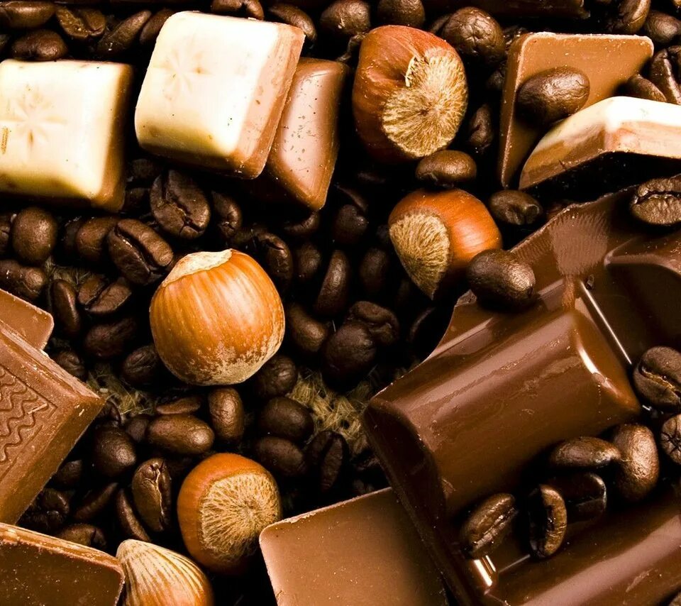 Зерна шоколада. Шоколад с орехами. Кофе и шоколад. Кофе шоколад орехи. Кофейный шоколад.
