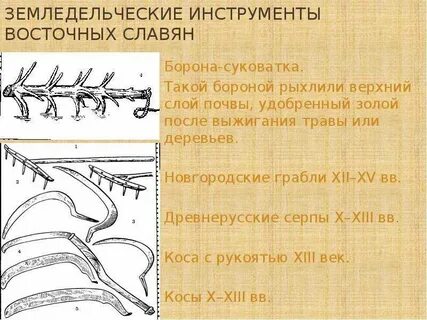 Земледельческие племена
