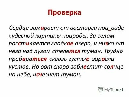 Замиреть