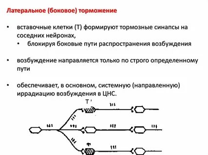 Направленное торможение