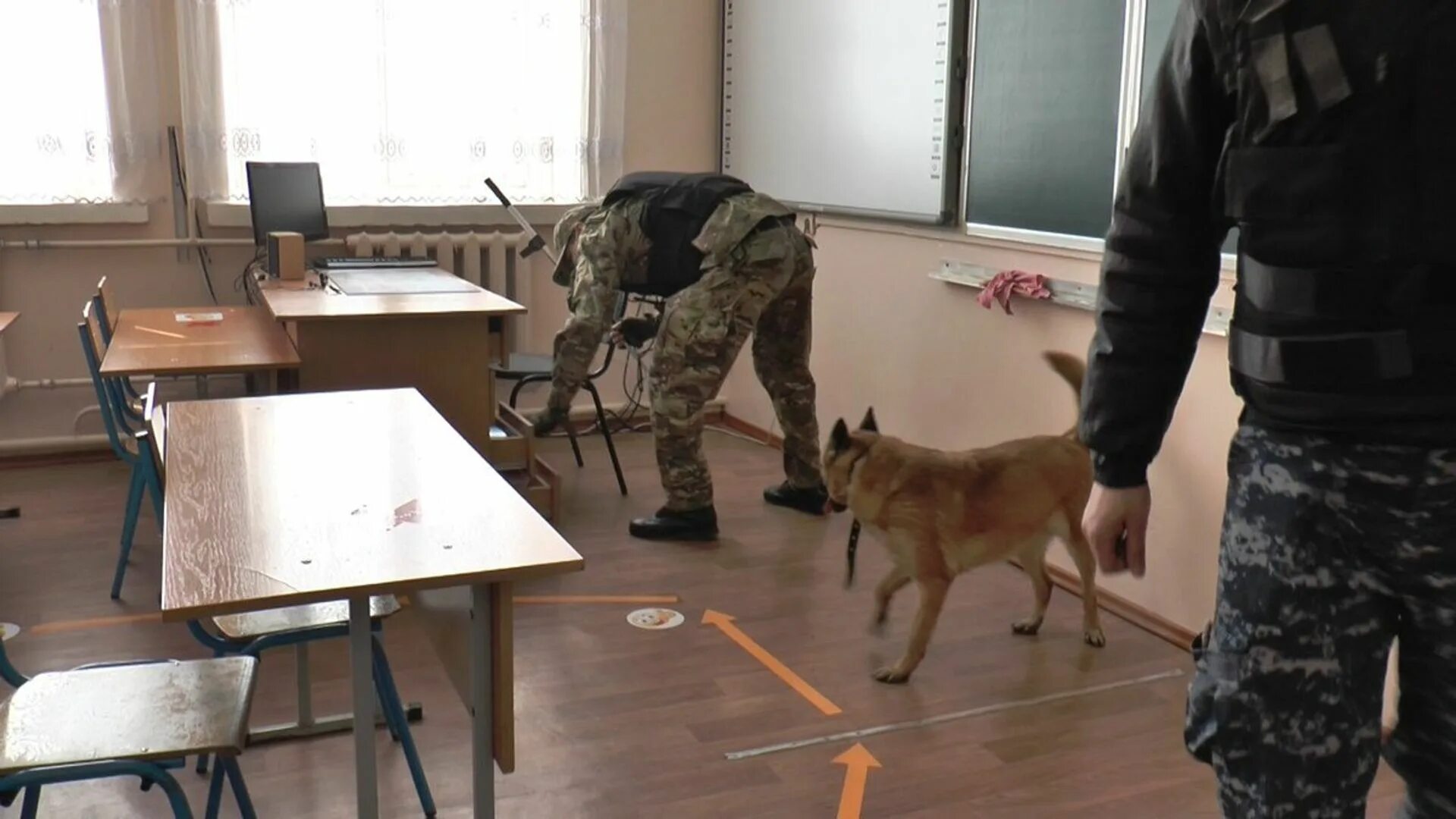 10 000 на школу. Саперы в школе. Минирование школ. Заминировали школу. Минирование школ 2021.