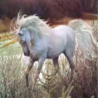 Главный единорог