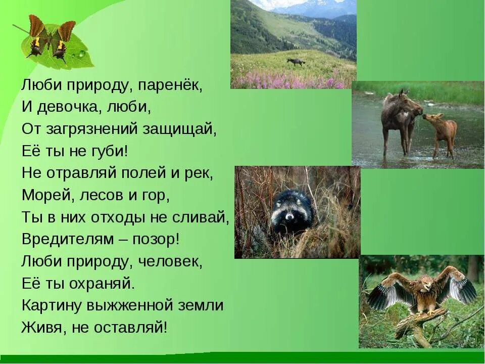 Сообщение о природе 2 класс окружающий мир