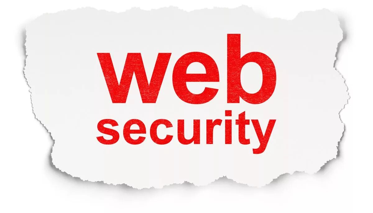 Web security