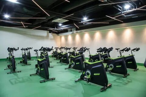 Desport в спб