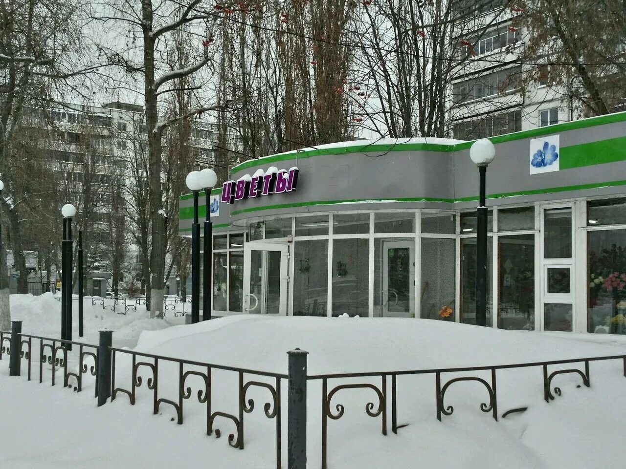 Где 7 воронеж. Бульвар победы 7 воронеж. воронеж бульвар победы дом 7. бульвар победы д 7 воронеж. бульвар победы 3 цветочный магазин.
