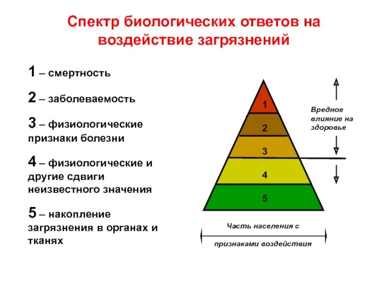 Биологический ответ. Спектр биологических ответов. воздействие биологических загрязнений на организм. биологический спектр это. физиологические болезни.