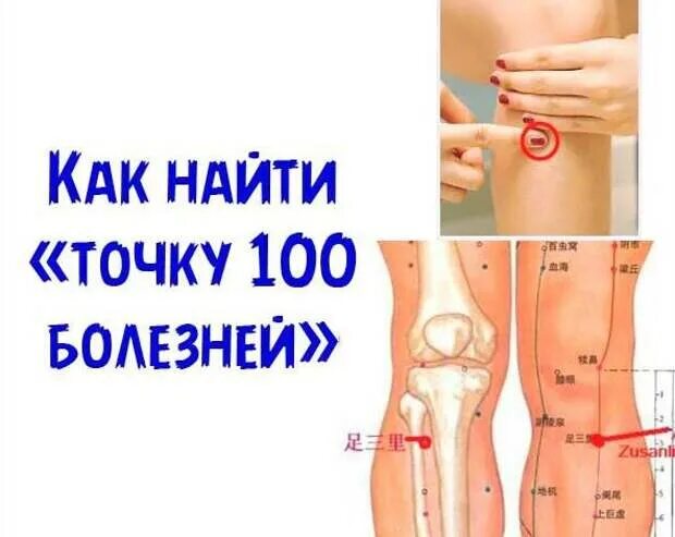 Ниже всех находится точка. Цзу сан ли точка акупунктуры. точка долголетия от ста болезней цзу-сан-ли е 36. цзу-сань-ли точка на теле. акупунктура точка цзу-сань-ли.