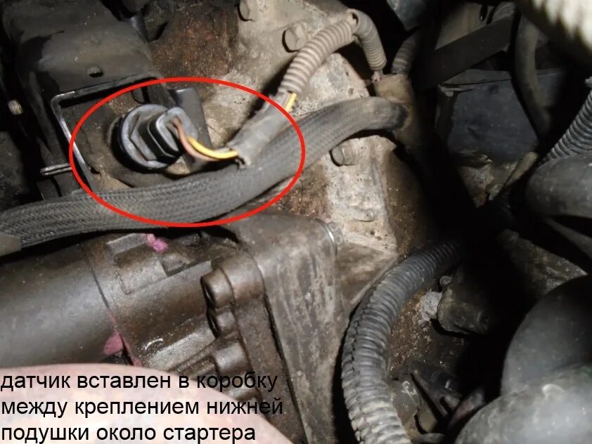 Где стоит датчик оборотов. Датчик оборотов двигателя рено лагуна 1 1.8. датчик спидометра на рено лагуна 1. датчик скорости лагуна 1.9. renault laguna 2 датчик включения вентилятора.