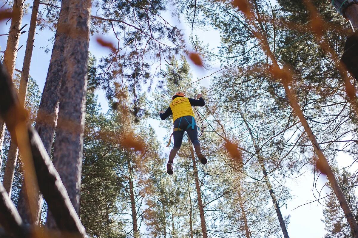 Веревочный парк чита. Канатный парк хамелеон Чита. Верёвочный парк в Чите хамелеон. Хамелеон Чита веревочный.