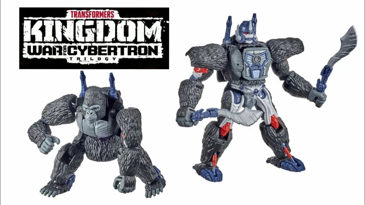 Трансформер Kingdom Optimus Primal. Игрушки трансформеры Оптимус праймал. Оптимус Прайм горилла трансформеры 7 игрушка. Игрушки Оптимус праймал максимал трансформеры кингдом. Transformers kingdom