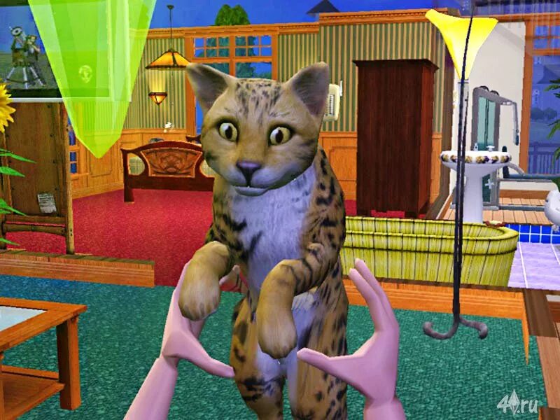 Симс петс. The SIMS 2: питомцы. Симс 2 животные. SIMS 2 Pets. Симс 2 питомцы.