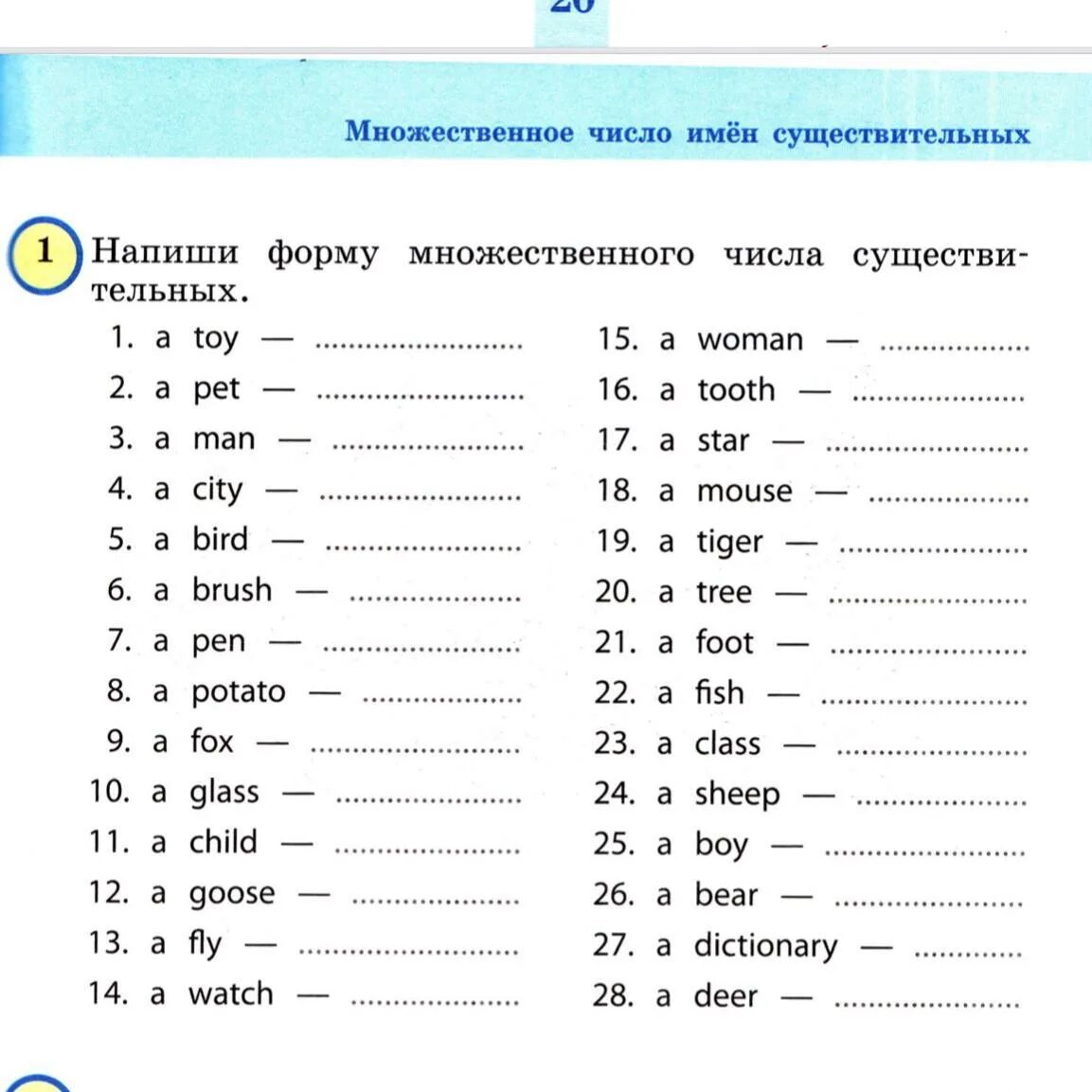 Pen множественное. Pet во множественном числе. Напишите форму множественного числа существительных a Toy. Напиши форму множественного числа существительных a Toy a Pet. Toys упражнения множественное число.