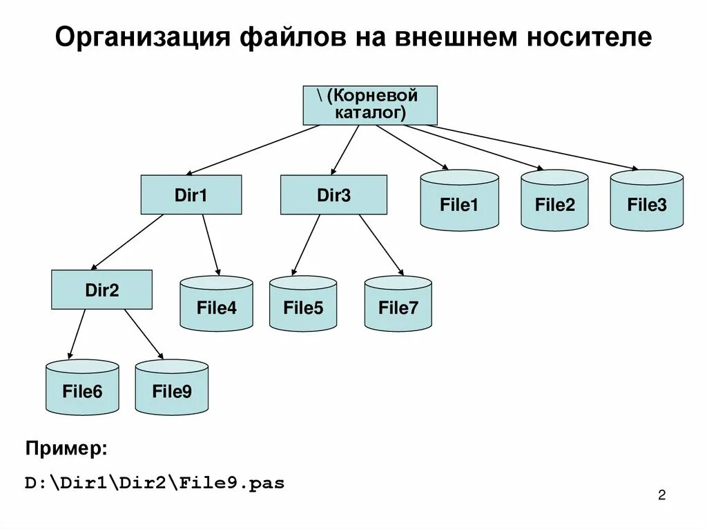 Организации данных по категориям. Файловая организация. Файловая организация файлов. Файловая организация данных. Организация каталога файлов.