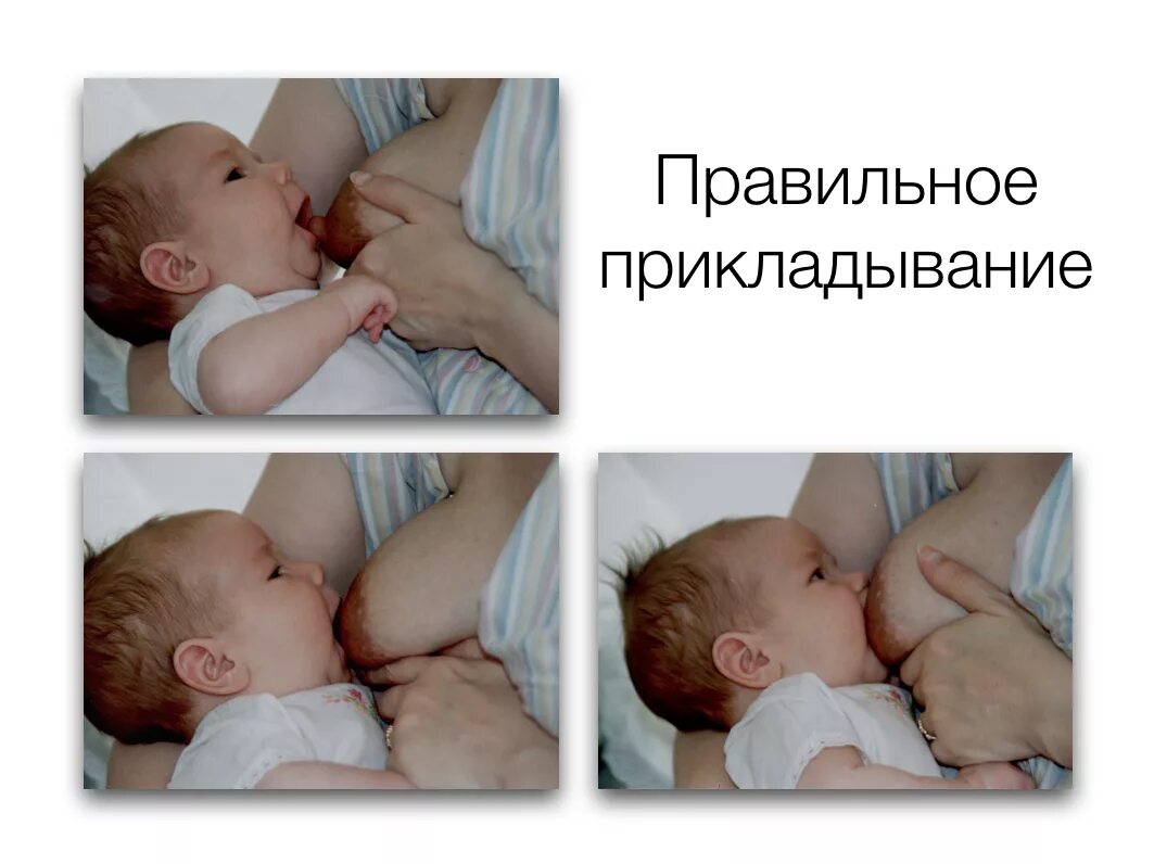 Показать как правильно давать. Правильный захват при грудном вскармливании новорожденного. правильное прикладывание к груди. правильное прикладывание при грудном вскармливании. правильное прикладывание новорожденного к груди.