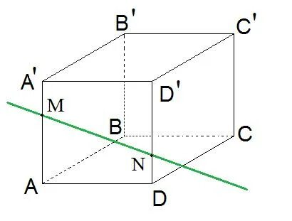Прямая mn является. Какие прямые кроме АА' И DD' лежат в одной плоскости с прямой MN?.