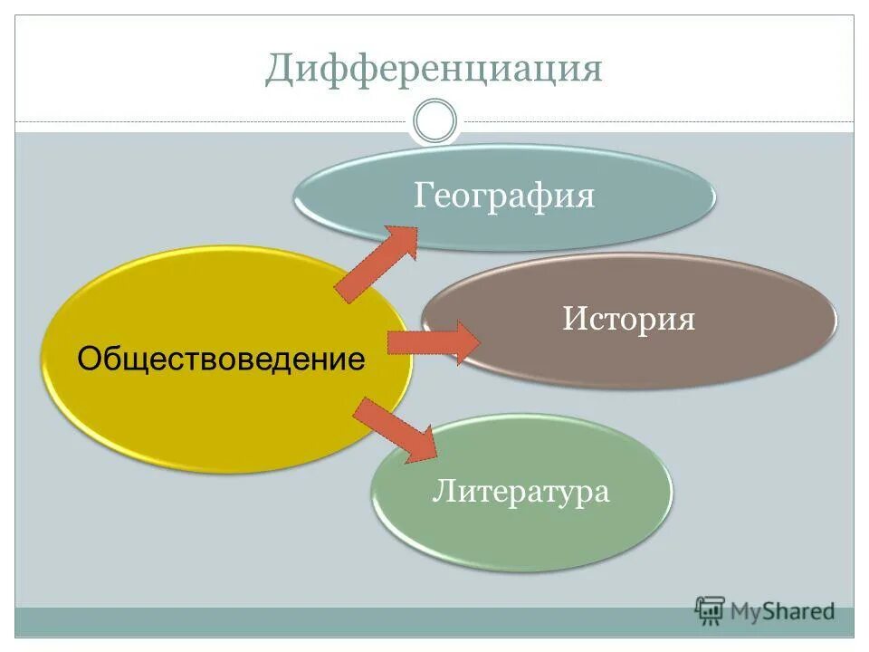 Процессы дифференциации и интеграции